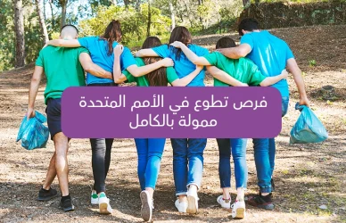 Fully Funded UN Volunteer Opportunities for Global Citizens